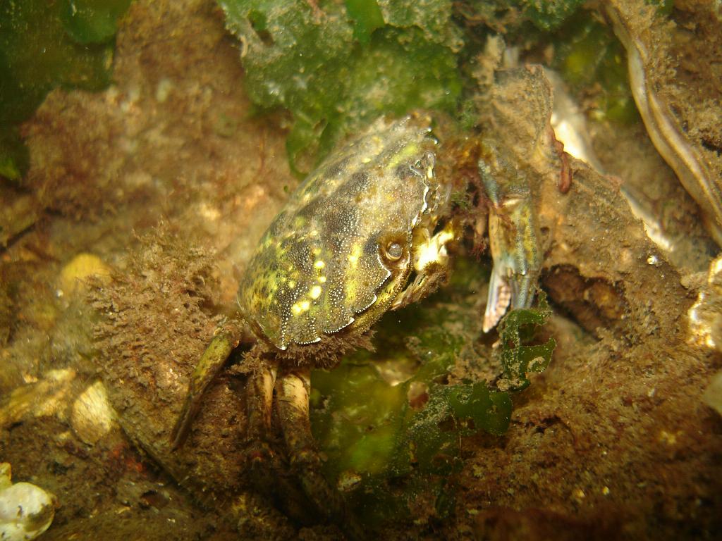 2008-08-09 09-44-41 H.JPG